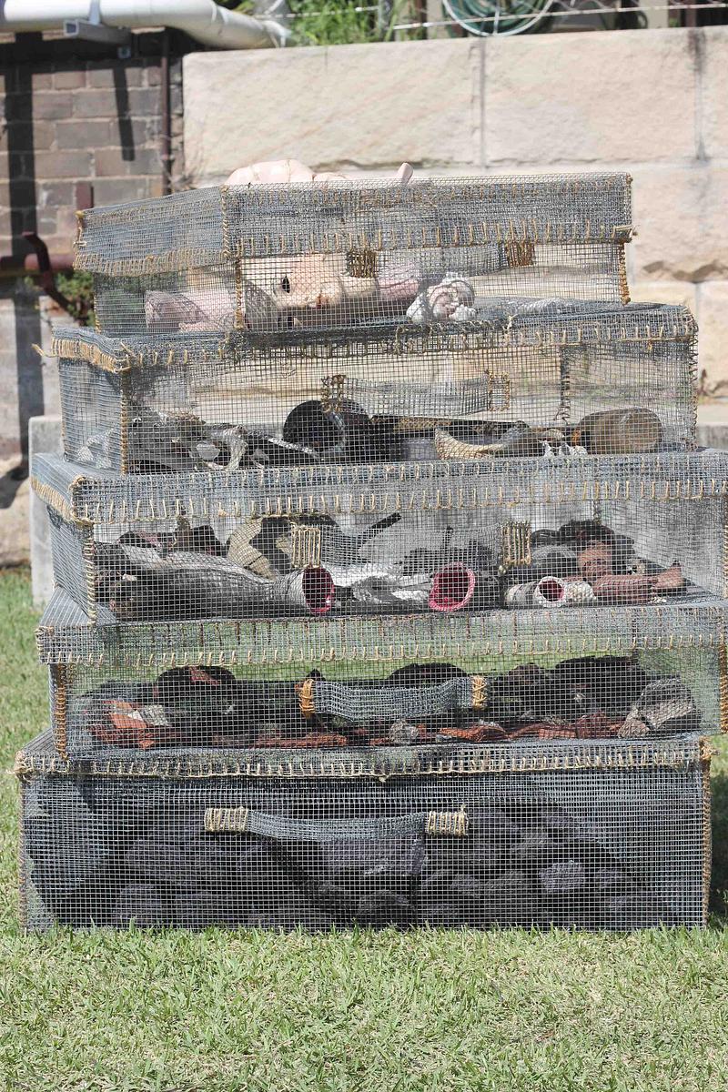 Collaboration with George Catsi - Finalist North Sydney Art Prize 2015