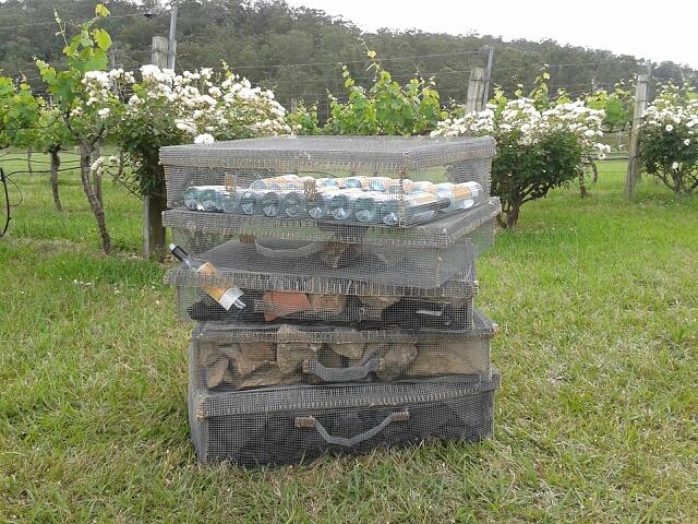 Stratum IV - Sculpture in the Vines 2015