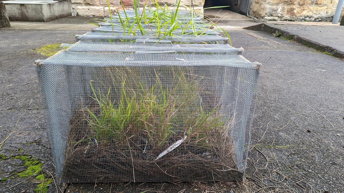 Installation work Nth sydney art prize 2022 