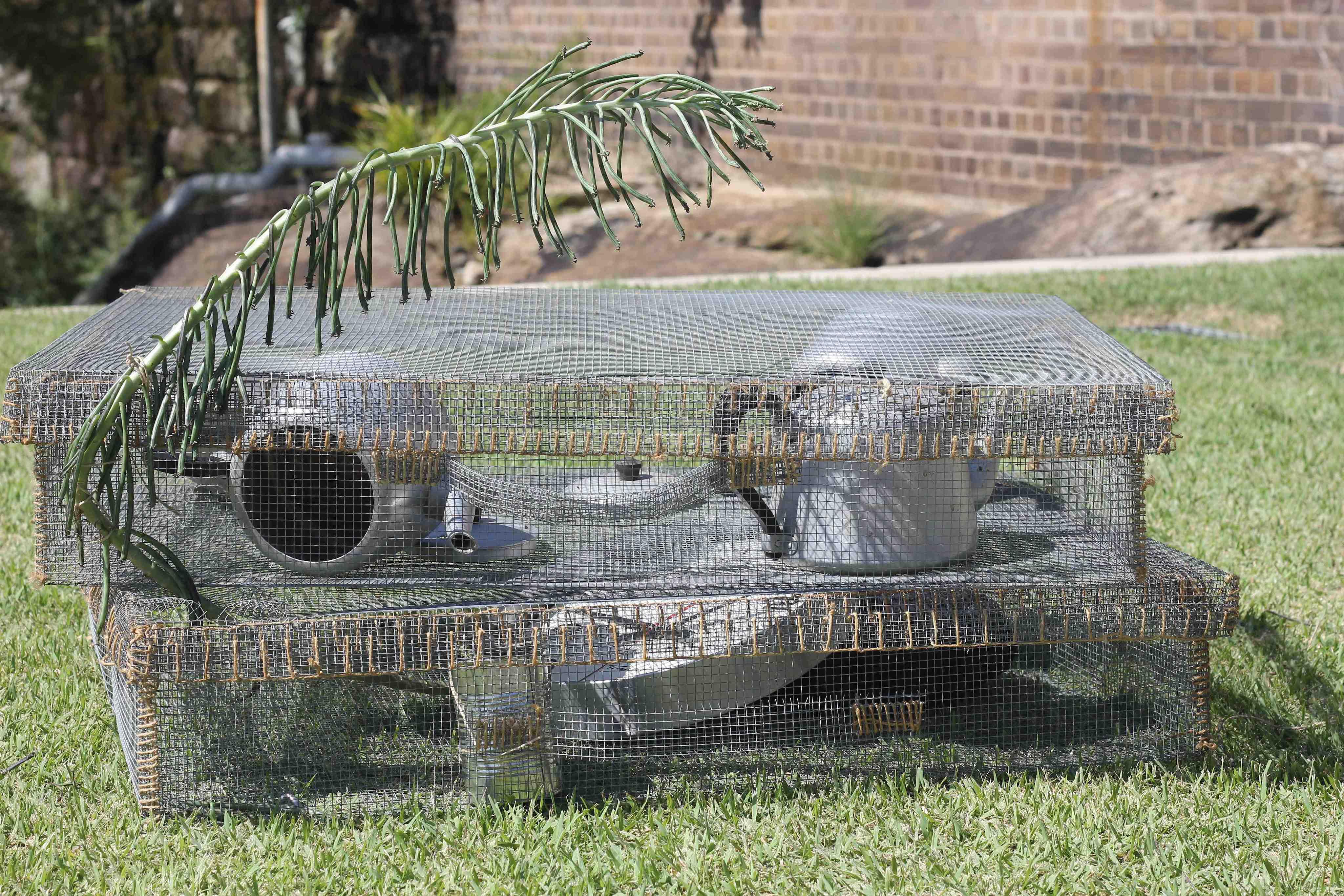 Collaboration with George Catsi - Finalist North Sydney Art Prize 2015