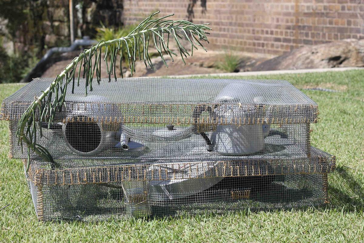 Collaboration with George Catsi - Finalist North Sydney Art Prize 2015